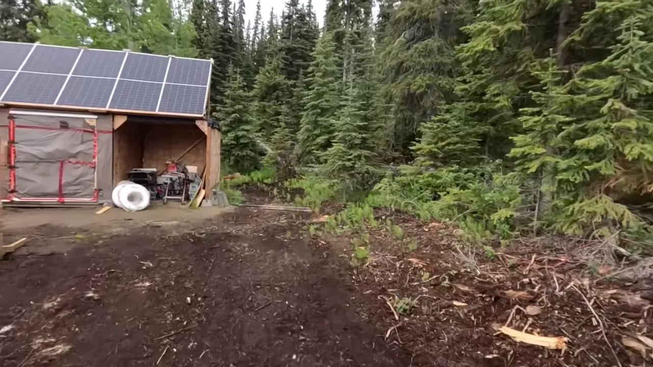 Dirt access path leading to an array shed with solar panels, bordered by dense evergreen forest.