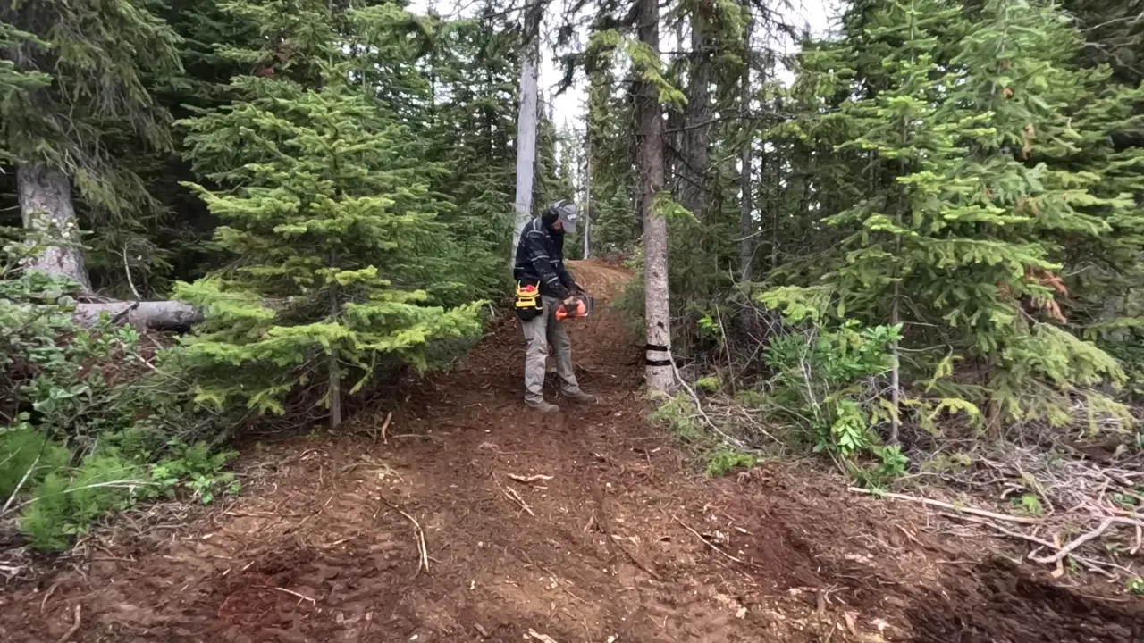 Worker standing on a freshly cleared forest access path holding a chainsaw with dense evergreens surrounding the route.