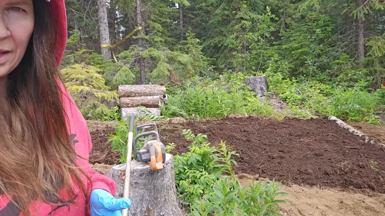 Prepared garden bed edged with logs and gardening tools on a remote island homestead