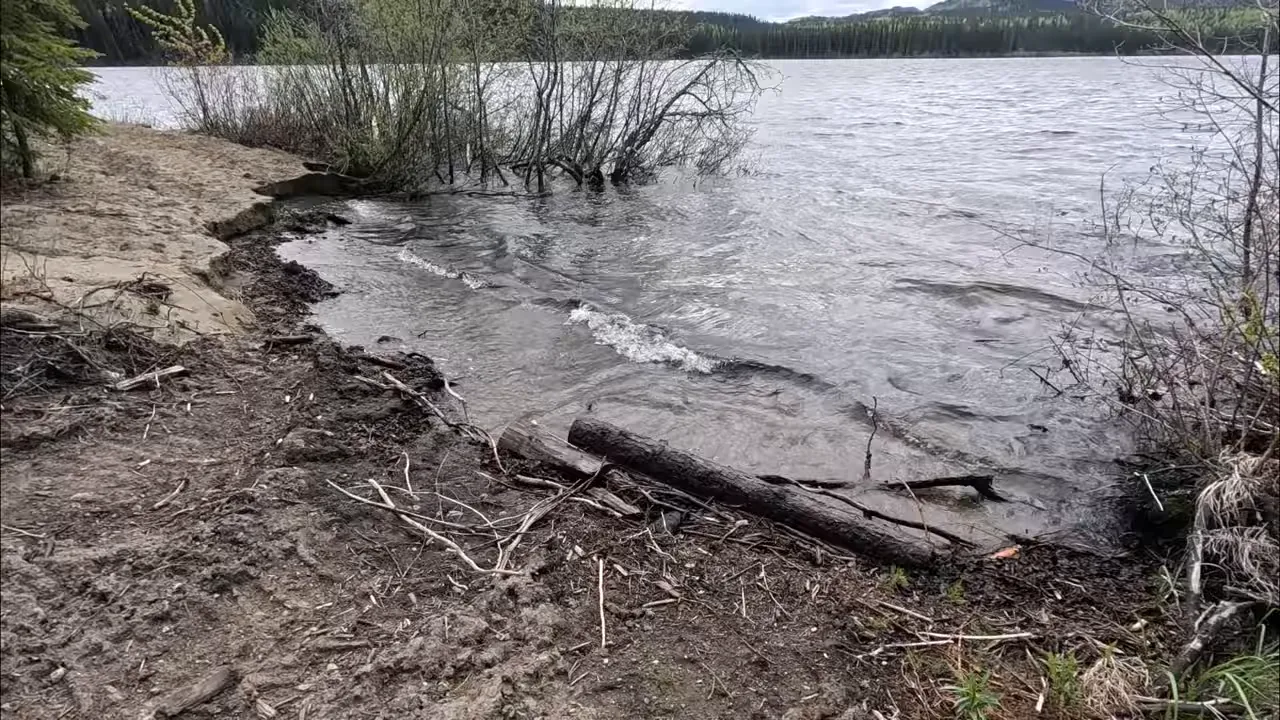 Sketch and discussion about creating a log pile seawall