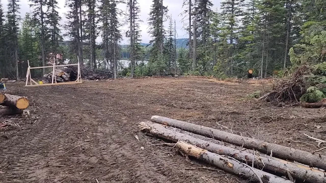 Off grid life: we bought an island in canada – 3 years later, here’s what we built! | s4 ep6 - opal zoomies and cabin progress