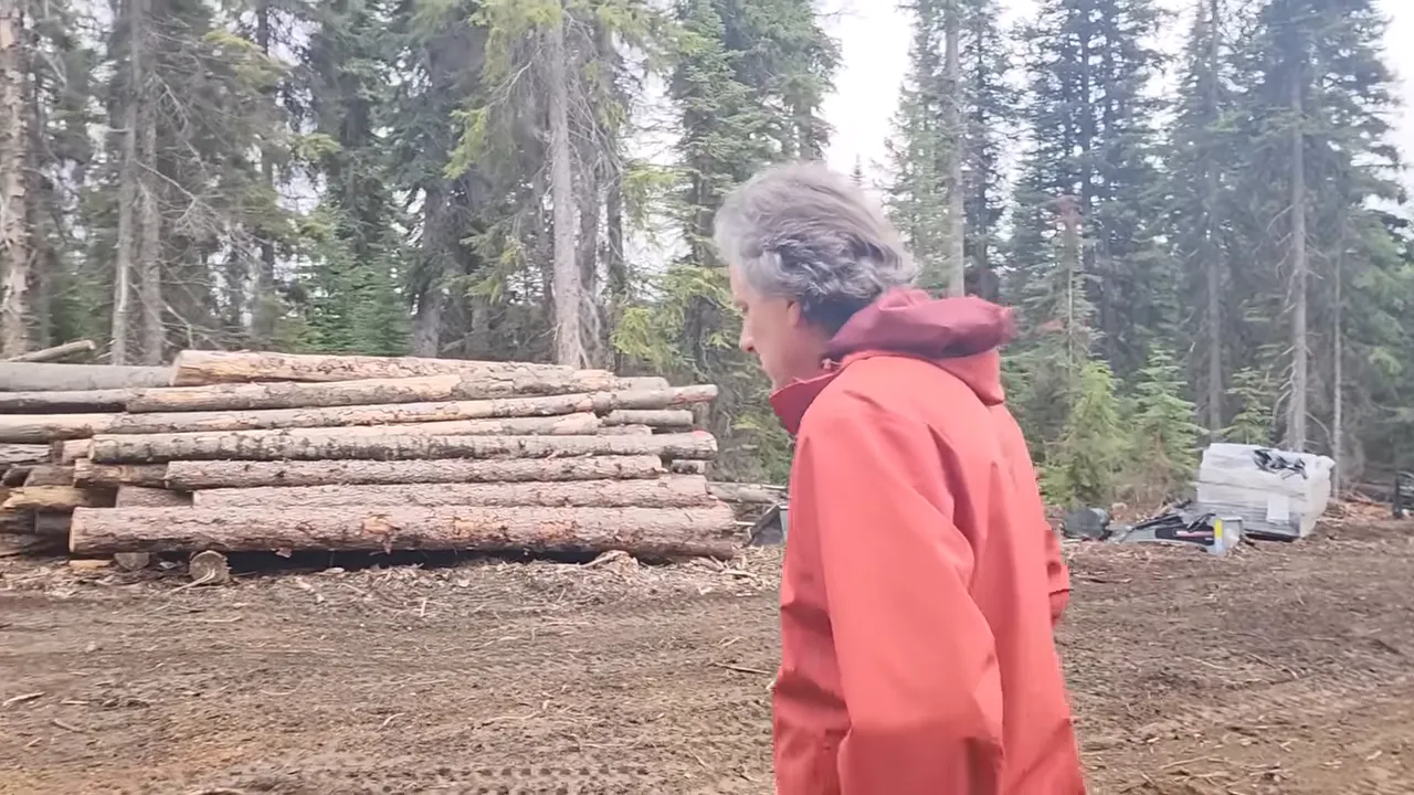 Off grid life: we bought an island in canada – 3 years later, here’s what we built! | s4 ep6 - cleared orchard and new trees