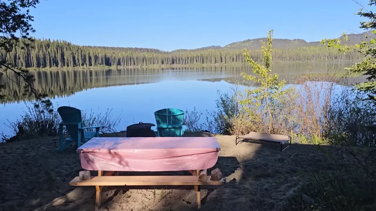 Sunlit lakeshore with adirondack chairs, picnic bench and reflected forest